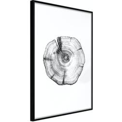 Arkiio Affisch Wood Slice [Poster] 40x60 Poster